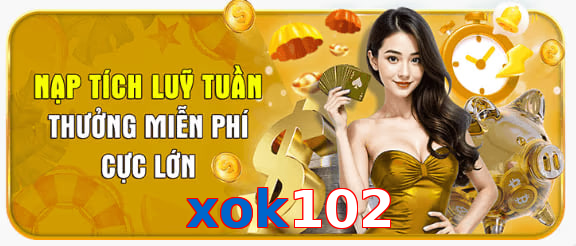 xok102